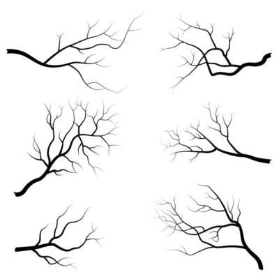 Tree Branch Vector Art, Icons, and Graphics for Free Download