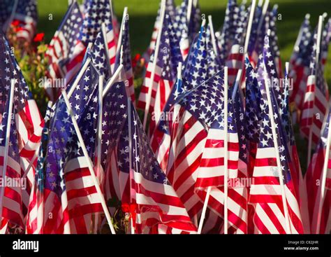 Small American Flags Stock Photo Alamy