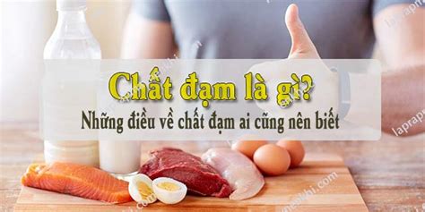 Chất đạm là gì Vai trò của chất đạm ai cũng nên biết