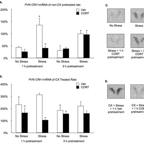 Effects Of Cort Pretreatment On Basal And Stress Induced Pituitary