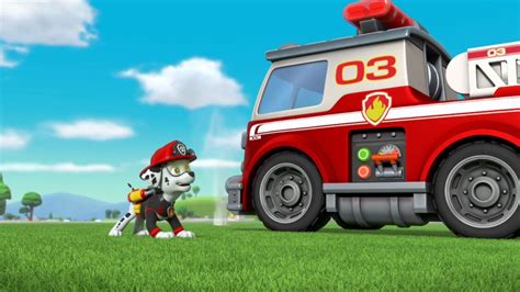 Paw Patrol Ultimate Rescue Pups Save The Opening Ceremonies