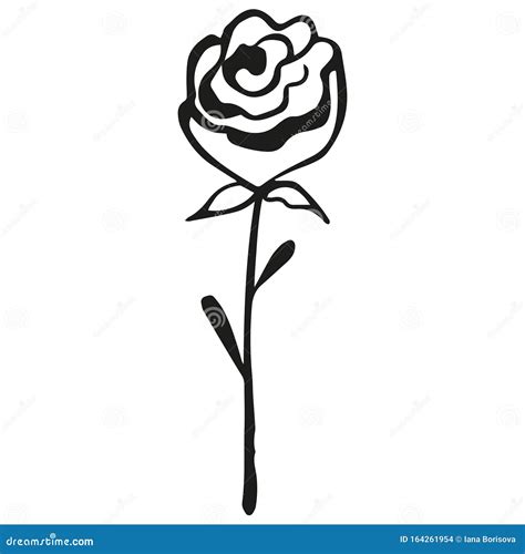 Flor De Rosa a Preto E Branco Desenho Em Branco Ilustração do Vetor