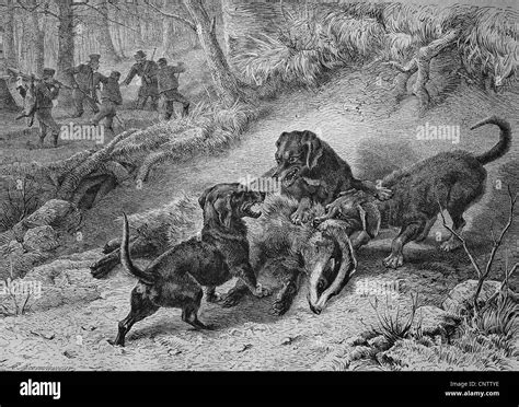 1869 Engraving Hi Res Stock Photography And Images Alamy