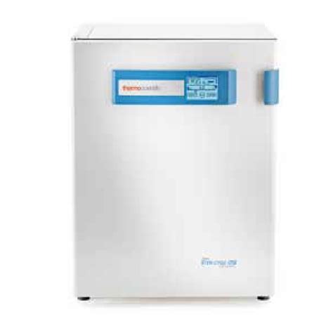 直热式CO2 培养箱255升纯铜内壁180干热灭菌IR检测Forma Steri Cycle i250Thermofisher