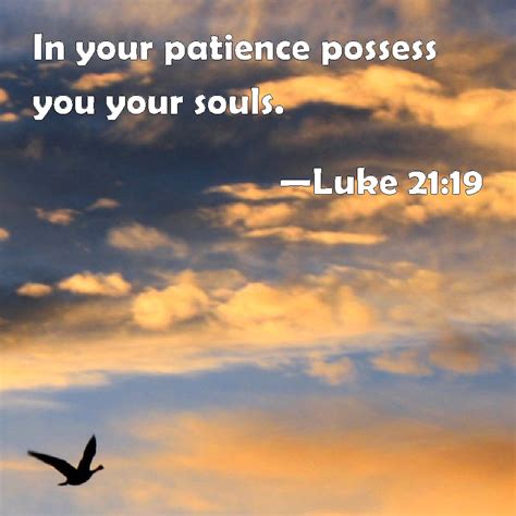 Luke 2119 In Your Patience Possess You Your Souls