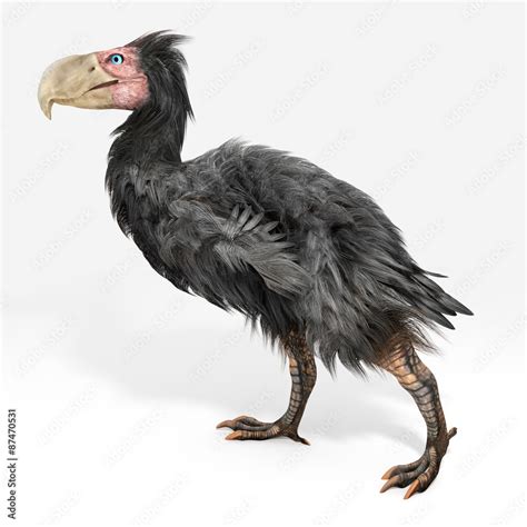 Fototapeta An Illustration Of Gastornis Terror Birds An Extinct