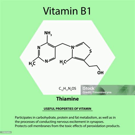 Vitamin B1 Tiamin Molekul Kimia Formula Sifat Vitamin Yang Berguna