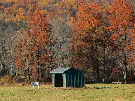 Pasture And Foliage Lebanon Township NJ Dave Aragona Flickr