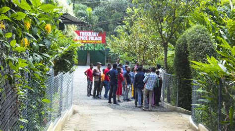 10 Most Famous Spice Gardens In Munnar For A Stimulating Experience Munnar Insider Travel Blog