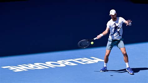 Djokovic, Alcaraz and...? A look at top contenders for Australian Open ...