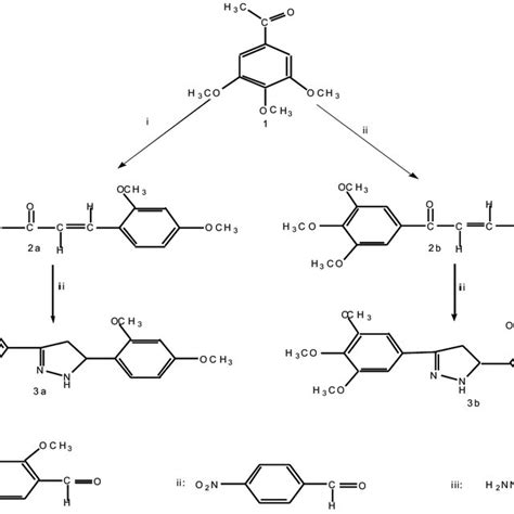 Scheme Of Synthesis Of Pyrazoles 1 3 4 5 Trimethoxyphenyl 3 2