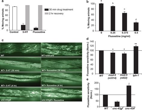 Fluoxetine And Ht Cause Muscle Relaxation A The Percentage Of Wt