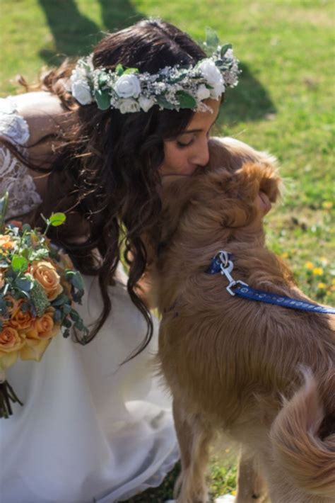 Tips Para Que Tu Mascota Participe En El Matrimonio Mascotas