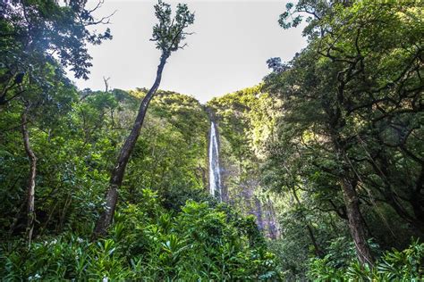 Tallest Waterfall In Maui