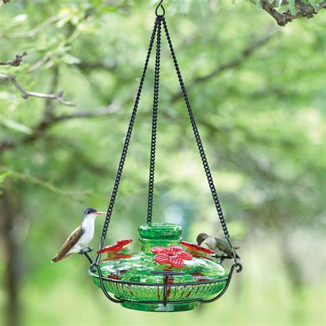 Hummingbird Feeder Tips Yard Envy