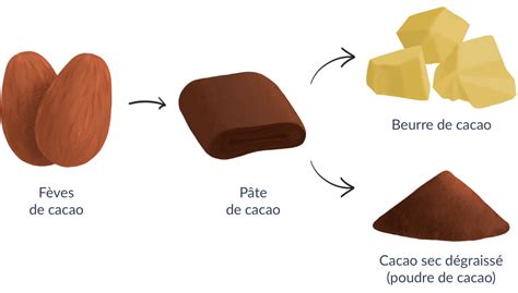 Le Chocolat Cest Bon Pour La Santé Yuka