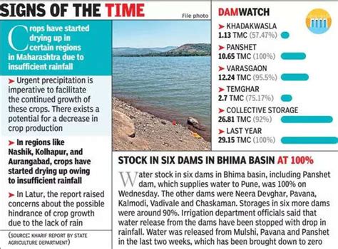 Prolonged Dry Spell A Big Threat To Maharashtra Kharif Yield Pune