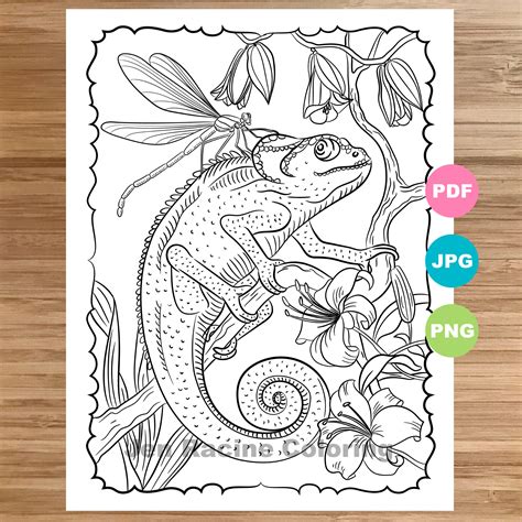 Mixed Up Chameleon Coloring Page