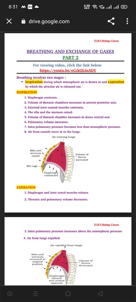 Mechanism Of Breathing - Zoology - Notes - Teachmint