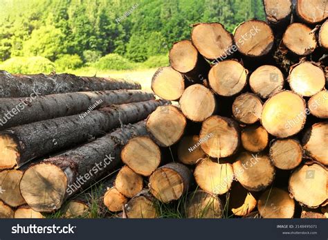 Pile Felled Tree Trunks Along Rural Stock Photo 2148495071 Shutterstock