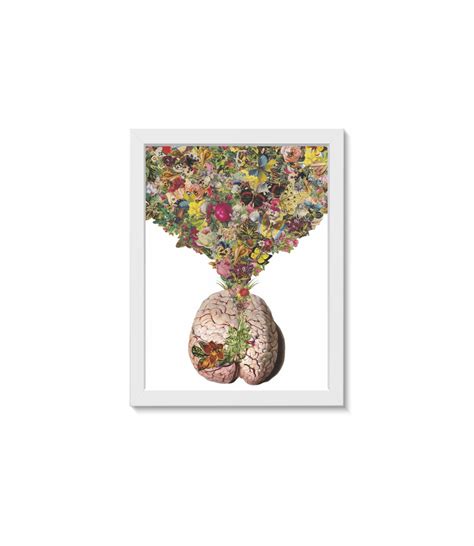 Quadro Decorativo C Rebro Flores Neurologia Medicina Elo