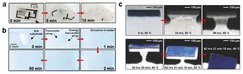 Biosensors Free Full Text Micro Nano Structured Biodegradable