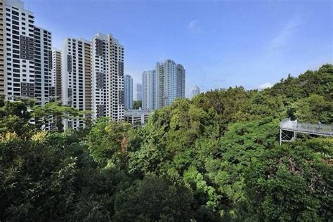 First Batch Of 1500 Hdb Flats In New Tengah Estate Will Be Launched In