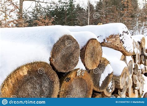 Pile Of Firewood In Winter Many Chopped Logs Pile Of Firewood Covered