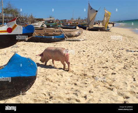 Anakao / Anokao, Atsimo-Andrefana, Madagascar Stock Photo - Alamy