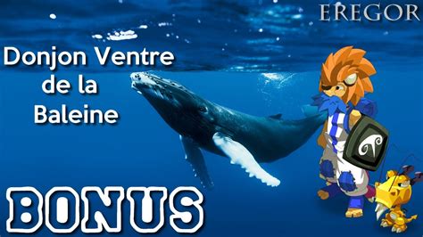 Eregor Dofus L BONUS L Ventre De La Baleine Up 77 YouTube