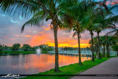 Coconut Trees Downtown at Palm Beach Gardens Florida – HDR Photography by Captain Kimo