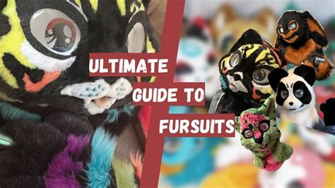 The Ultimate In Depth Guide To Fursuits All Different Types Of