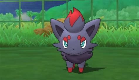 Zorua From Pok Mon Game Art Hq