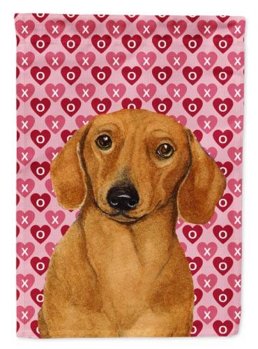 Dachshund Hearts Love And Valentine S Day Portrait House Flag House