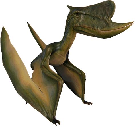 Dsungaripterus Jurassic World Evolution Wiki Fandom