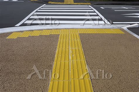 点字ブロックと横断歩道 [125573625]の写真素材 アフロ