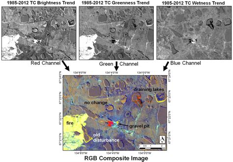 Tasseled Cap Tc Trend Compositing Method Used By Larch Individual Download Scientific