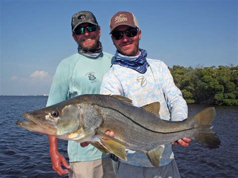 Snook Fishing Florida S Jetties Sport Fishing Mag