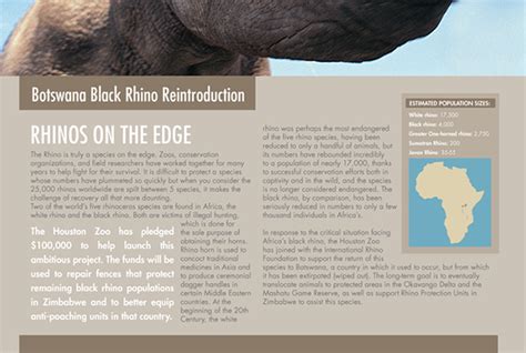 Black Rhino Conservation Poster on Behance