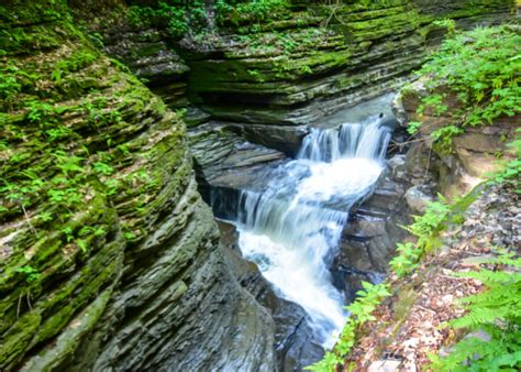 Wine & Waterfalls around Seneca Lake, New York | Flying Fourchette