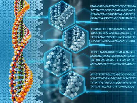 Bioinformatics – TechnoFob