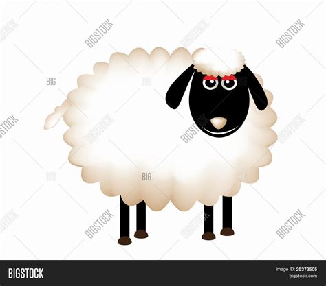 Delightful Sheep Vector & Photo (Free Trial) | Bigstock