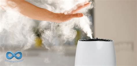 5 Ways To Use A Humidifier For Your Home Muzz Global