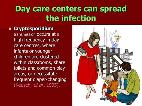 Ppt Cryptosporidium Powerpoint Presentation Free Download Id9791