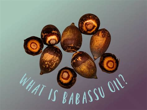 What Is Babassu Oil The Coconut Mama