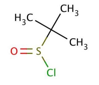 Tert Butylsulfinyl Chloride Cas Scbt Santa Cruz