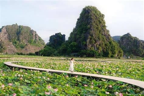 Ninh Binh Day Trip With Hoa Lu Tam Coc Boat Cycling Village