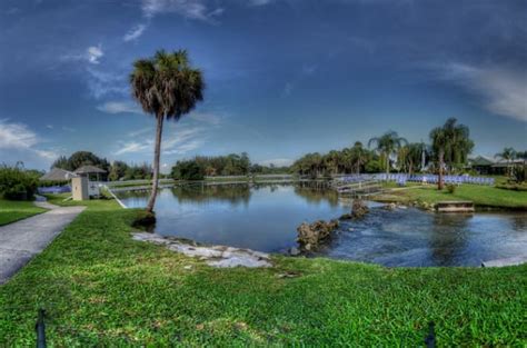 Save The Warm Mineral Springs In North Port Fl Indiegogo