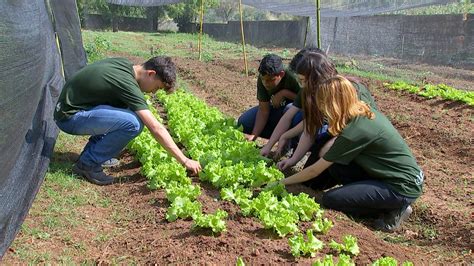 Jovens Participam De Projeto Que Estimula Carreira No Agro Nosso