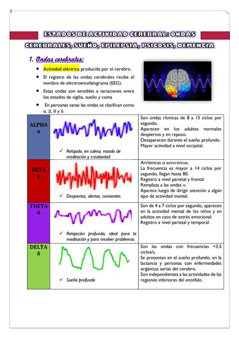 Resumen Estados De Actividad Cerebral Ondas Cerebrales